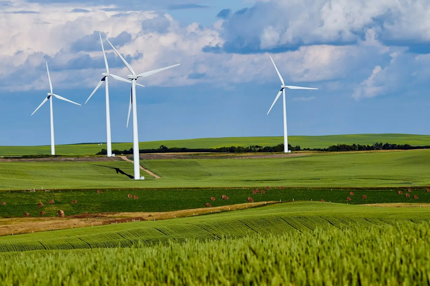Windräder über grünen Feldern